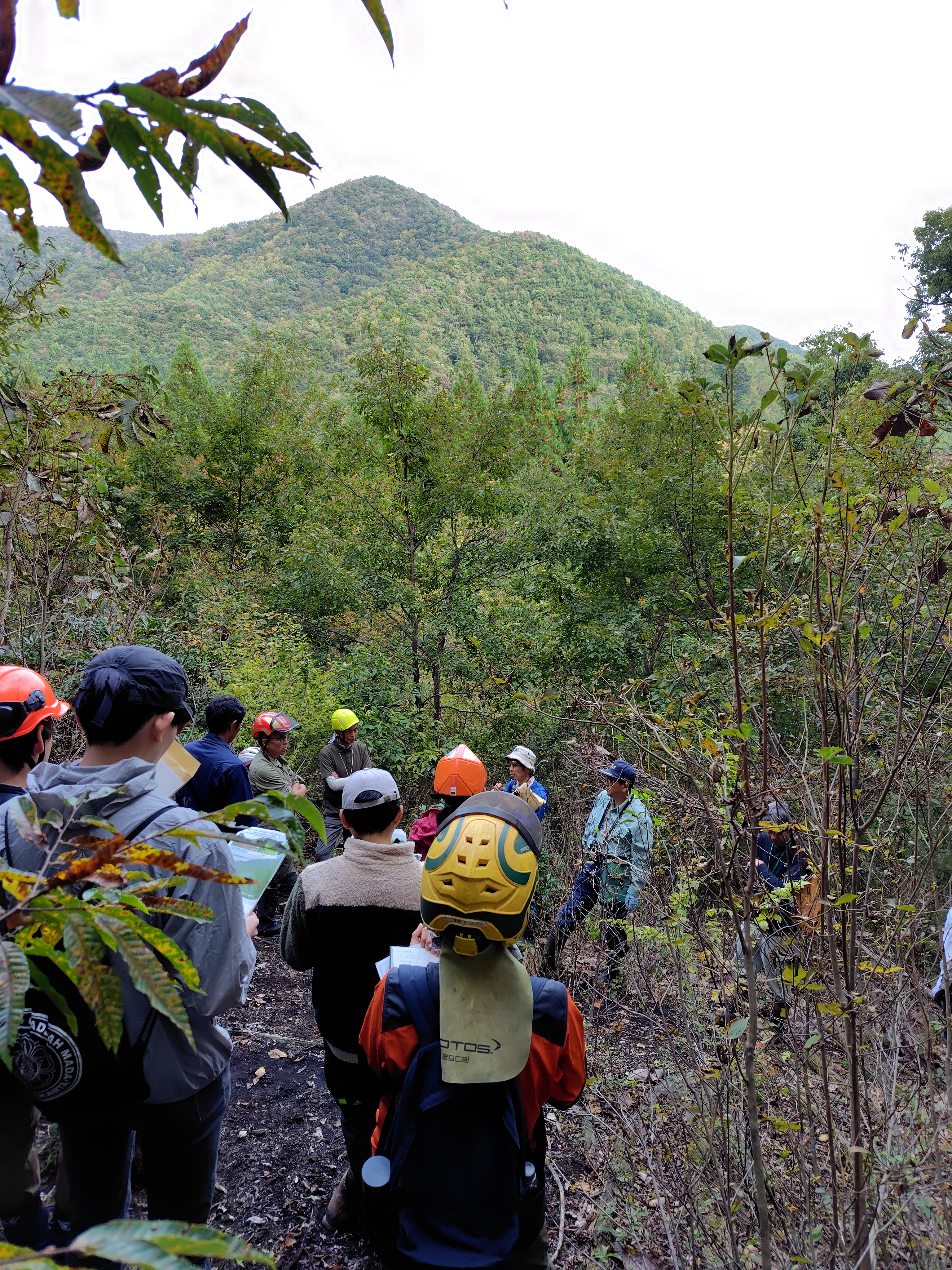 森を歩くフォレスターたち — Foresters in the field